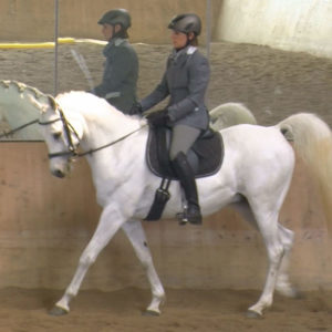 ERC - Training-05.2018 - Dressur - Claudia Halmbacher auf Ragnar Lodbrok