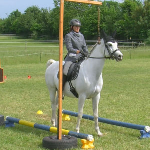 ERC - Training-05.2018 - Trail - Claudia Halmbacher auf Ragnar Lodbrok