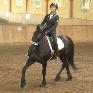 ERC-TT-08.2018-WE-Dressur - Heidelinde Pukl auf Mare