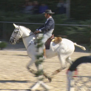 WED-DM-2018-WL-0028-Speed-Pedro Ribeiro auf Imperador