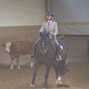 WED-DM-2018-WL-0056-Rinder-Rosemarie Vogginger auf Rosis Prinz