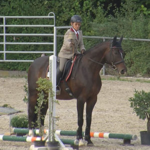 WED-DM-2018-WL-0056-Trail-Rosemarie Vogginger auf Rosis Prinz