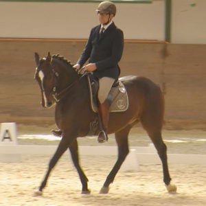 WEN-Cup-2018-WL-04-Dressur-Raimund Friedrich auf Candelo