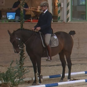 WEN-Cup-2018-WL-04-Trail-Raimund Friedrich auf Candelo