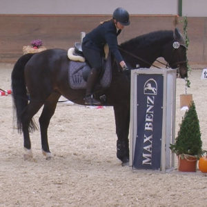 WEN-Cup-2018-WL-06-Speed-Franziska Erdmann auf Chilli Chocolate