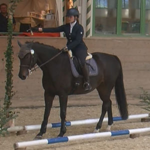 WEN-Cup-2018-WL-06-Trail-Franziska Erdmann auf Chilli Chocolate