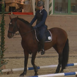 WEN-Cup-2018-WL-12-Trail-Sari Philipp auf Ebano