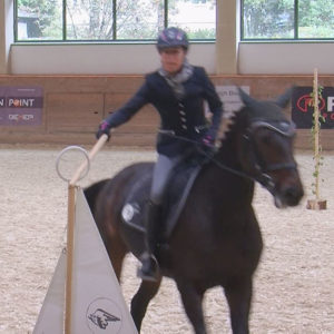 WEN-Cup-2018-WL-19-Speed-Iris Große Lembeck auf Finesse