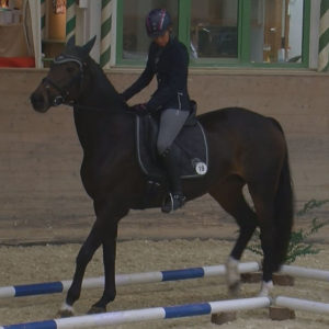 WEN-Cup-2018-WL-19-Trail-Iris Große Lembeck auf Finesse