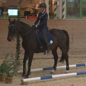 WEN-Cup-2018-WL-20-Trail-Cora Welsch auf Flicka