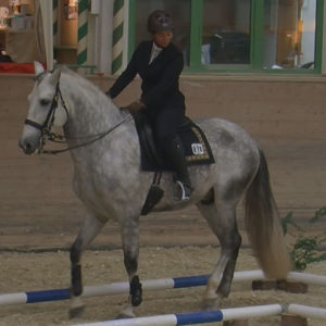 WEN-Cup-2018-WL-28-Trail-Ramona Seifert auf Hercules Salvatella II