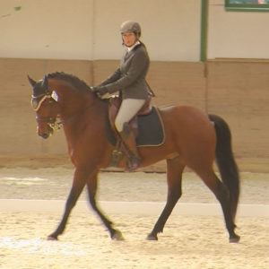 WEN-Cup-2018-WL-70-Dressur-Claudia Wittenberg auf Veneroso