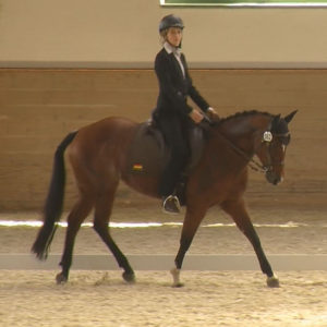 WEN-Cup-2018-WM-62-Dressur-Anna Laukemper auf Starlight Smart Mimi