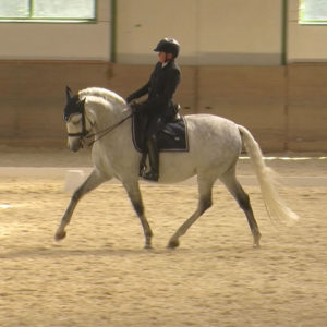 WEN-Cup-2018-WM-64-Dressur-Cornelia Zinnecker auf Teimoso de la croze