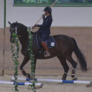 WEN-Cup-2018-WS-08-Speed-Mirjam Wittmann auf Danielle