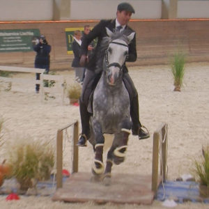 WEN-Cup-2018-WS-10-Speed-Arnaud Petit auf Diniz