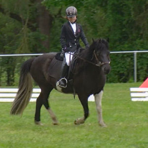 Off-GWT-2019.05-WL-01-Dressur-Marlene Gomoluch auf Dimmalimm