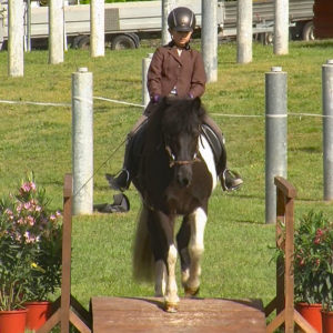 Off-GWT-2019.05-WL-01-Trail-Marlene Gomoluch auf Dimmalimm