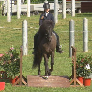 Off-GWT-2019.05-WL-02-Trail-Mylou Suylen auf Lion von Brandenbusch