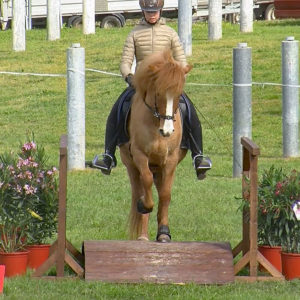 Off-GWT-2019.05-WL-14-Trail-Nele Bechtel auf Fengur vom Schumannhof