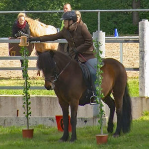 Off-GWT-2019.05-WL-16-Trail-Melanie Gomoluch auf Ofelia von der Hollerwiese