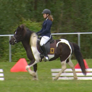 Off-GWT-2019.05-WS-03-Dressur-Lena  Schilling  auf Mia Luna de la Noche