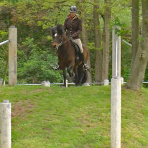 Off-GWT-2019.05-WS-24-Speed-Franziska  Reitz auf Ofelia von der Hollerwiese