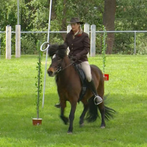 Off-GWT-2019.05-WS-24-Trail-Franziska  Reitz auf Ofelia von der Hollerwiese