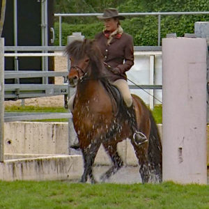 Off-GWT-2019.05-WS-26-Trail-Franziska  Reitz auf Prins fra Bruni