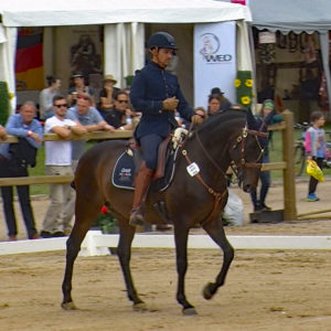 WED-NaC-2019.05-WS- 464-Dressur-Mihai Maldea auf Benjamin de Caniceira