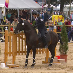 WED-NaC-2019.05-WS- 468-Trail-Frauke Matter auf Cholito GT