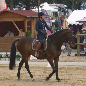 WED-NaC-2019.05-WS- 469-Dressur-Mirjam Wittmann auf Daniele