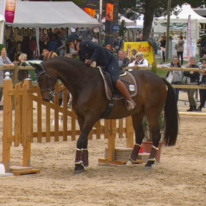 WED-NaC-2019.05-WS- 469-Trail-Mirjam Wittmann auf Daniele