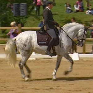 WED-NaC-2019.05-WS- 470-Dressur-Arnaud Petit auf Danone san Lourenço