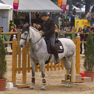 WED-NaC-2019.05-WS- 470-Trail-Arnaud Petit auf Danone san Lourenço