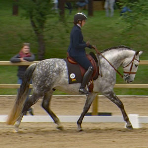 WED-NaC-2019.05-WS- 472-Dressur-Birte Ostwald auf Diluvio