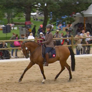 WED-NaC-2019.05-WS- 498-Dressur-Tirile Tuchschmid Monnier auf Samson Menezes